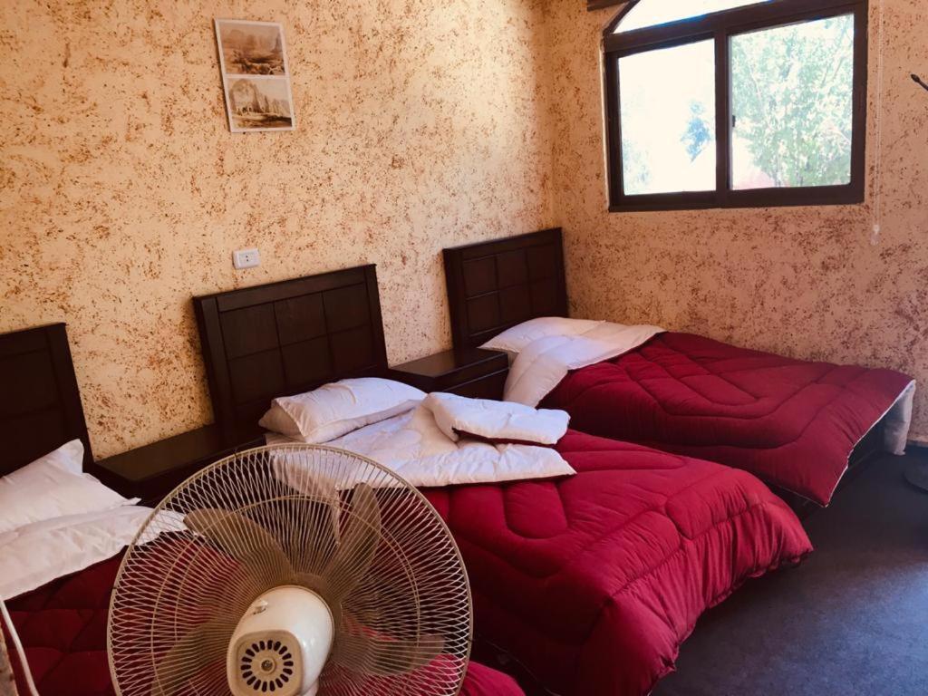 וואדי מוסא Guest House Attallah מראה חיצוני תמונה